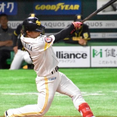 ホークスファン  #6 現地通算成績 6勝1敗