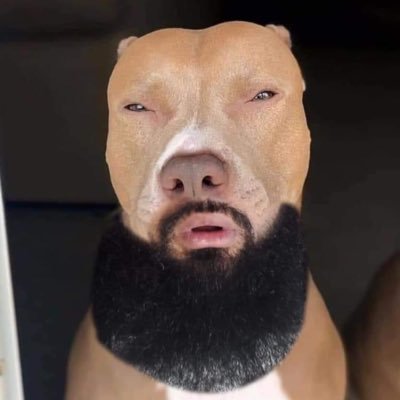 Quantel45670348's profile picture. just man who doesn't take bullshit from no one.