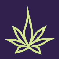 Terpli (@terpli_io) 's Twitter Profile