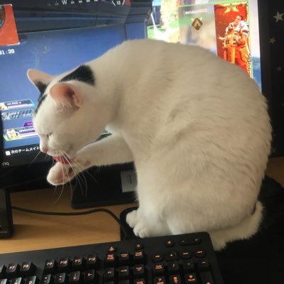 Bou214_cit's profile picture. 2年になってました。宜しくお願いします！ゲーム大好き！アニメも見ます。卓球やってました！