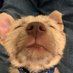 Pete Mergens (@petemergens) Twitter profile photo Pete Mergens (@petemergens) Twitter profile photo