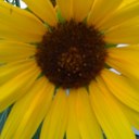 Debra Chrisman - @debidebi23 - Twitter