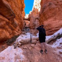 Brian Mozey (@brianmozey) 's Twitter Profile