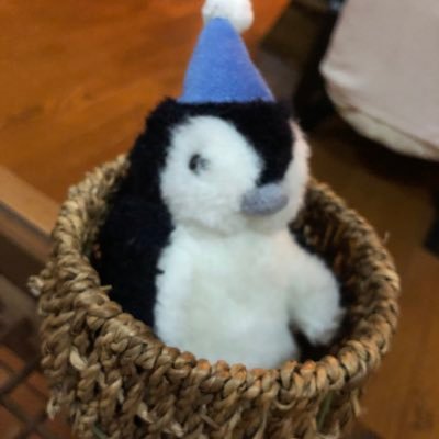 saku_front's profile picture. JavaScript、React、three.js