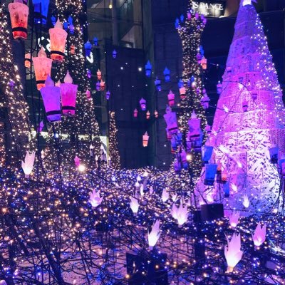 07gDMaH32em49Qp's profile picture. 春からgwc/国コミュ🌸                           無言フォロー失礼します🙇‍♀️