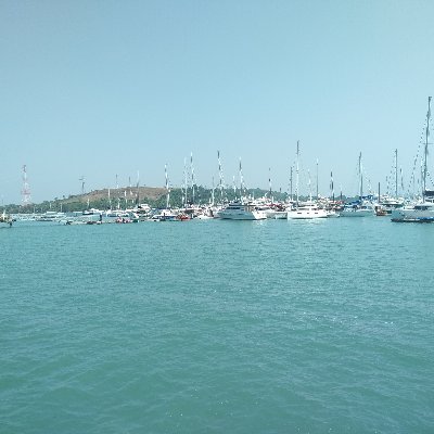 ZawMin77816374's profile picture. 