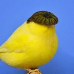 elise28898453's profile picture. she/her. I refuse to be rude to antivaxxers