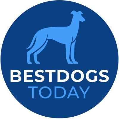 Daily selection of the best value in early markets across AU & NZ greyhounds. Hit the ‘Follow’ button for all our tips and previews free to your Twitter feed.