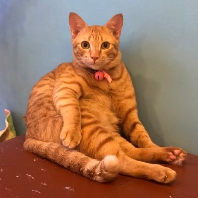 mars_hyun's profile picture. 🪴