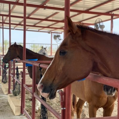 NoufAlm97's profile picture. SOIL🍂GEOLOGY☄️ENVIRONMENT🌳 & much more