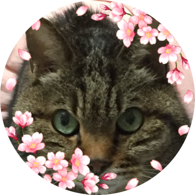 酎ハイねこ No Twitter 成人式での旭日旗 日章旗の間違った使用方法 旗日復活の為に努力されている方の思いを踏みにじる行為 日章旗や旭日旗を付けて人身事故や暴力行為など以ての外 T Co Todj1oxct3 酎ハイねこ No Twitter 成人式での旭日旗 日章旗の間違った使用方法 旗日復活の為に努力されている方の思いを踏みにじる行為 日章旗や旭日旗を付けて人身事故や暴力行為など以ての外 T Co Todj1oxct3