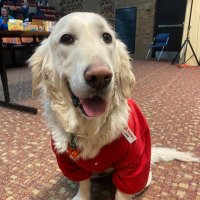 Therapy Dog Jake/Talesfortails814(@therapy_jake) 's Twitter Profile Photo