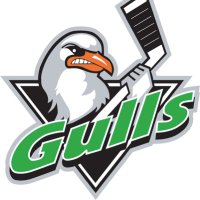 GULLS U15 Major Hockey Club (@gullsbantams) 's Twitter Profile