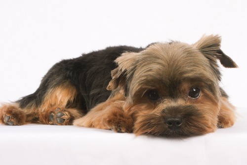 wineandproses's profile picture. 