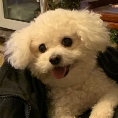 Andy16377803's profile picture. 