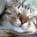 josh key - @joshkey78 - Twitter