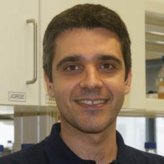 Cell biologist at @i3S_UPorto. Assistant Professor at the @FMUPorto @UPorto. At the crossroads between nuclear mechanics and cell division.