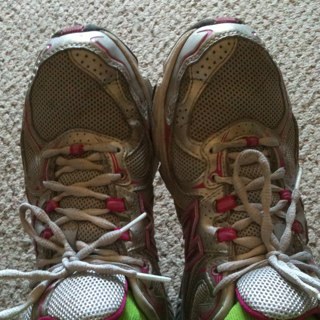 seafreeman's profile picture. 