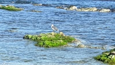 chaeyou90739665's profile picture. ♡♡♡