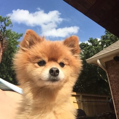 FrNotRuben's profile picture. Id/buymenu - insta buymenu