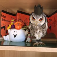 ずく (@kry1vx1vbpgrnni) 's Twitter Profile