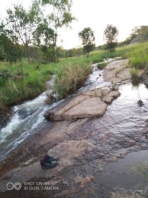 Learnfirst8's profile picture. 