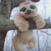 Sloth Knows Ball (@slothknowsball) Twitter profile photo Sloth Knows Ball (@slothknowsball) Twitter profile photo