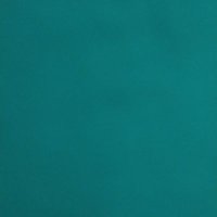 el catador de clítoris (@chupavulvasss) 's Twitter Profile