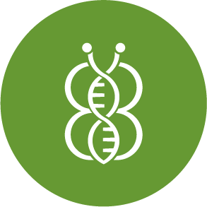 Biotechnology company that produces enhanced Black Soldier Fly strains for the growing insect farming industry 🦟🦗
#blacksoldierfly #insectfarming #biotech