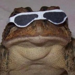 videotoad's profile picture. Game dev at @arcaneworks. Creator of @puzzlemakergame