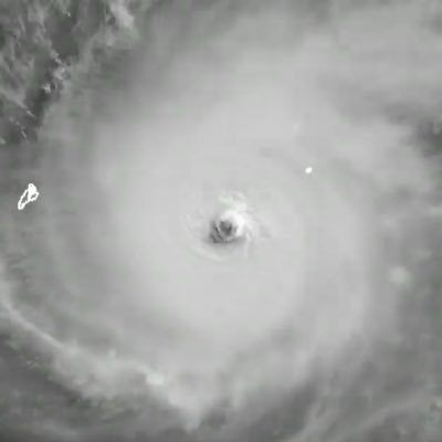 StratacusIsBack's profile picture. (they/them) simp for new zealand - enthusiastic tropical cyclone tracker