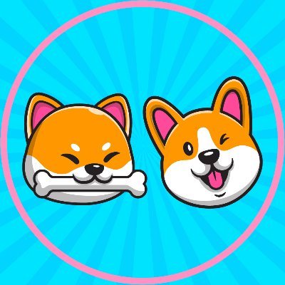 shibacorgidog Profile Picture