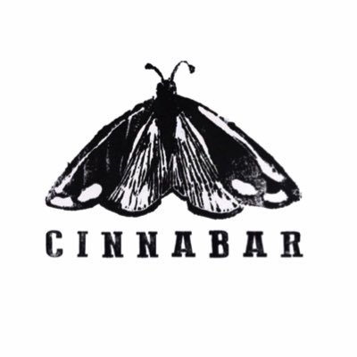 Not butcher, nor baker but a female maker. Junkster, magpie, collector and founder of tiny eco conscious online shop Cinnabar.