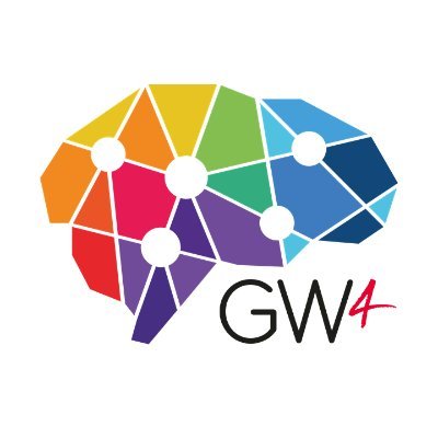 GW4 Neurodevelopmental Neurodiversity Network