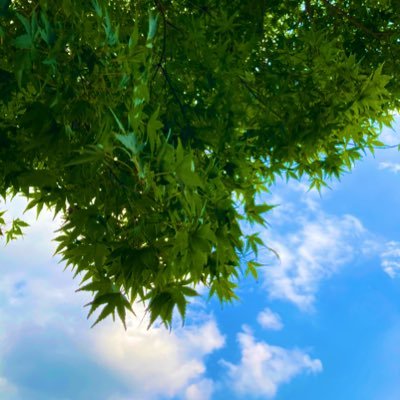 anemone_rrr's profile picture. 