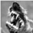 b_collar's profile image