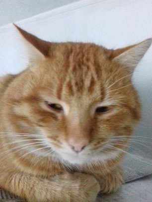 websurf41's profile picture. 