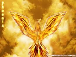 gulopez76's profile picture. Les TIC es la meva vida professional i la lectura la personal. Crear i redissenyar les TIC es la meva misió i llegir Josep Plà la meva passió.