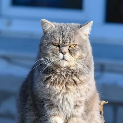 me_in_corner's profile picture. Dom looking for Sub😘