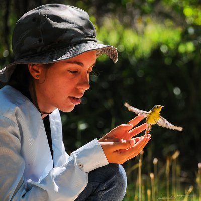 Graduate student University of Havana, Cuba
Bird biologist, molt nerd
Professor trainee
Tener talento es tener buen corazón.
IG: dvpuerto19
