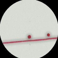 FaTiMa (@fatima_error) 's Twitter Profile