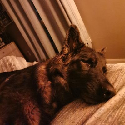 LvWest727's profile picture. 