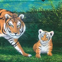 spspride (@spspride1) 's Twitter Profile