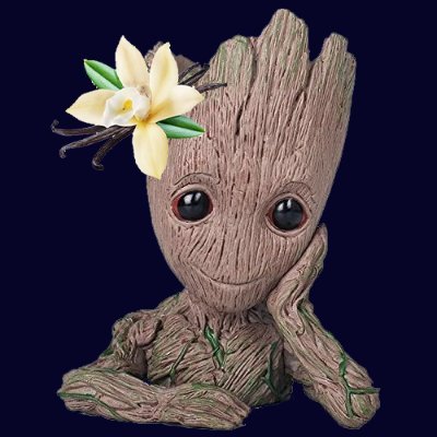 vanillagroot's profile picture. 