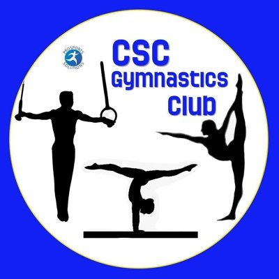Were are a fun and friendly gymnastics club based on Canvey Island.
@ProsportsSltd