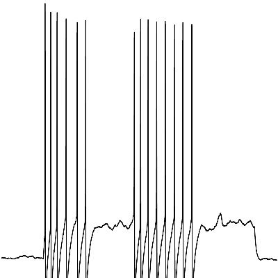 WallaceLab1 Profile Picture