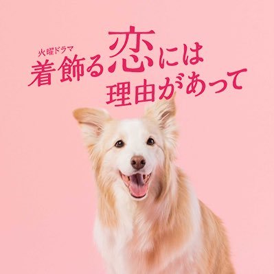 公式】『着飾る恋には理由があって』TBS火曜ドラマ (@kikazarukoi_tbs) / X
