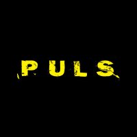 MusikkavisenPuls (@pulsmusikk) 's Twitter Profile Photo