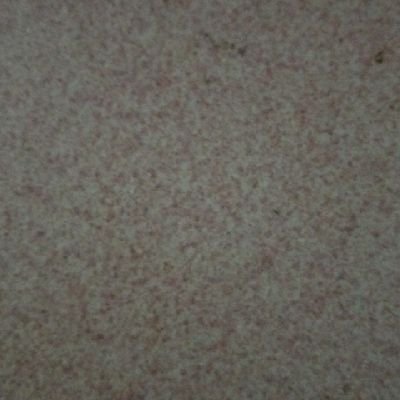 DidierRemi3's profile picture. 