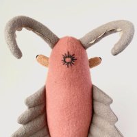 Pompon (@thisispompon) 's Twitter Profile